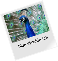 Nun strahle ich.